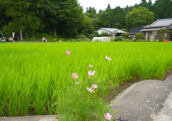 猪之頭の風景　富士宮　静岡の風景