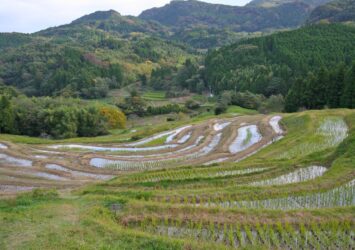 千葉　大山千枚田の秋の風景　千葉の秋の風景