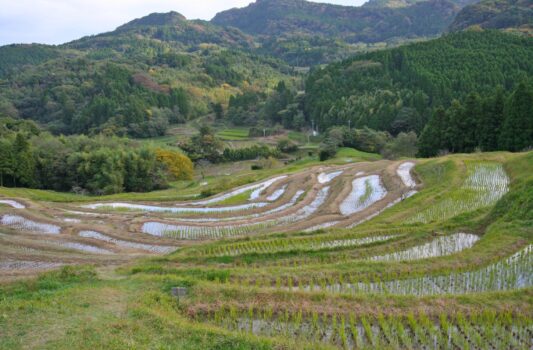 千葉　大山千枚田の秋の風景　千葉の秋の風景