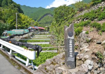 山葵栽培発祥の地「有東木」の風景　静岡の風景