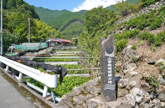 山葵栽培発祥の地「有東木」の風景　静岡の風景
