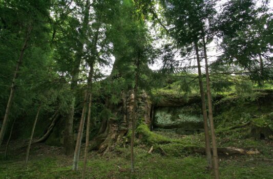 瑞巌寺境内　宮城の風景