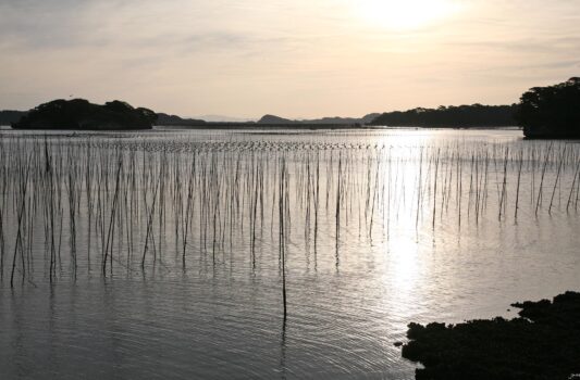 10月の松島　朝の風景　宮城の秋の風景