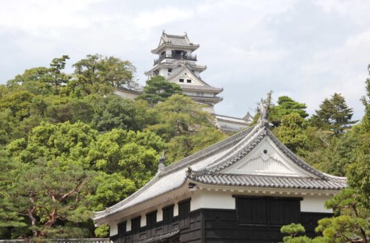 高知城　高知の城　高知の風景