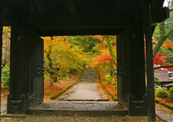 秋の秋月　垂裕神社　秋の福岡の風景　福岡の紅葉風景