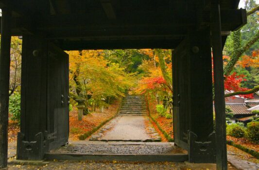 秋の秋月　垂裕神社　秋の福岡の風景　福岡の紅葉風景