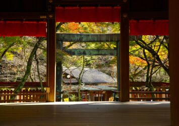 秋の金崎宮　敦賀　秋の福井の風景