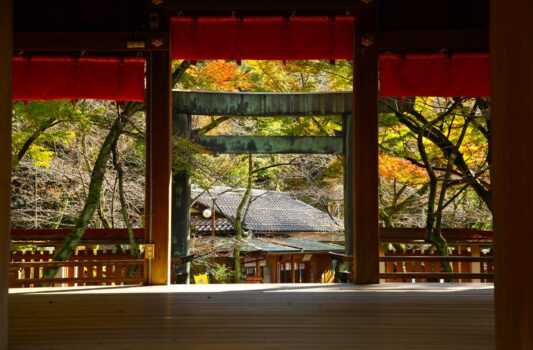 秋の金崎宮　敦賀　秋の福井の風景