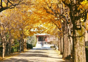 吉祥寺の参道と本堂　秋の吉祥寺　秋の東京の風景