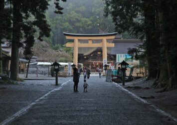 小國神社　静岡の神社　静岡の風景