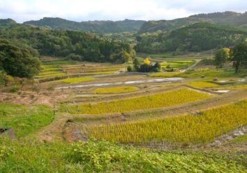秋の大山千枚田　秋の千葉の風景　千葉の風景