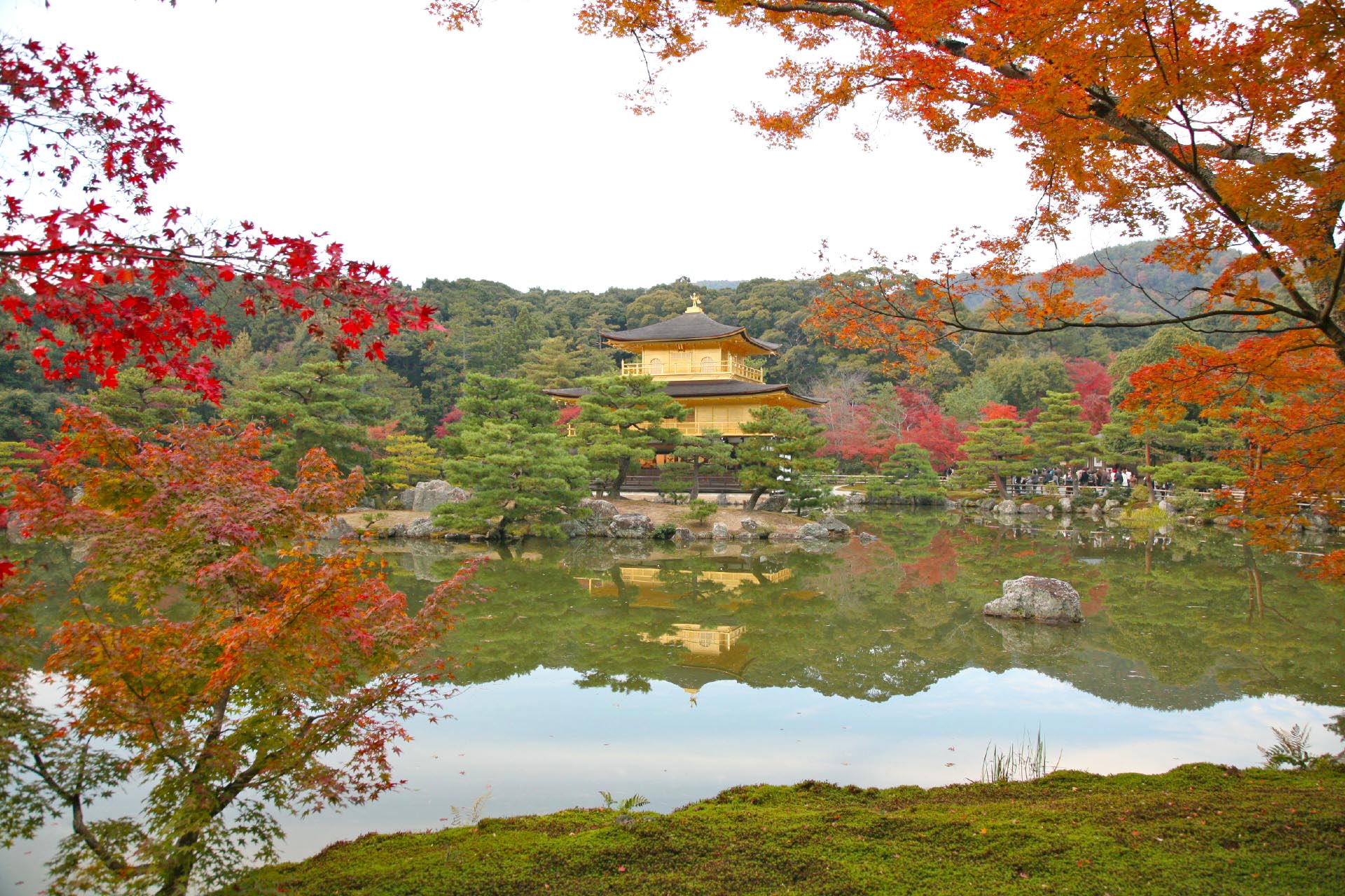 秋の金閣寺　京都の紅葉風景　京都の風景