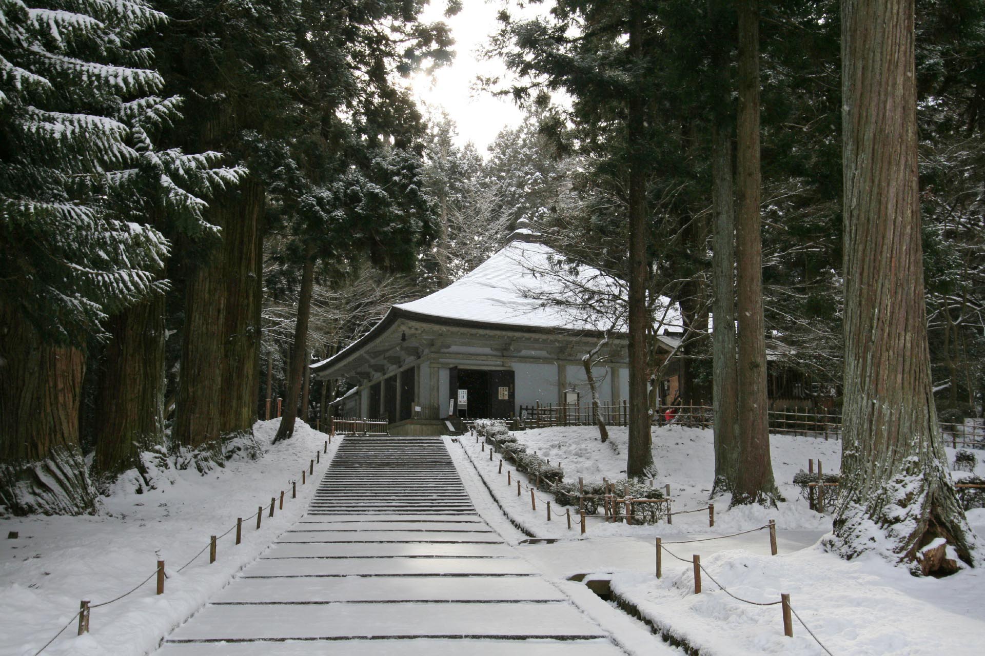 雪の中尊寺金色堂　奥州平泉　冬の岩手の風景