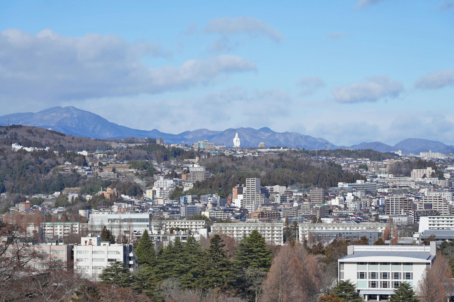 冬の仙台　青葉城（仙台城）見る仙台の町並み　冬の宮城の風景