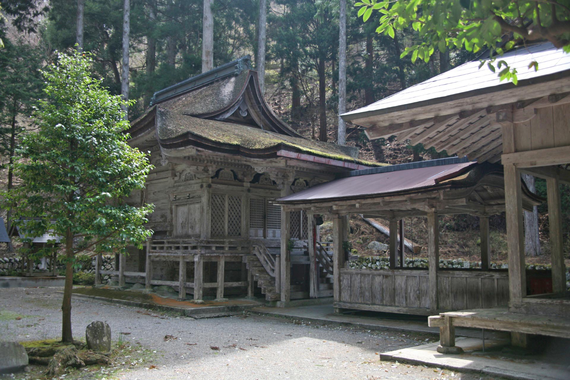 地主神社　滋賀の神社　滋賀の風景