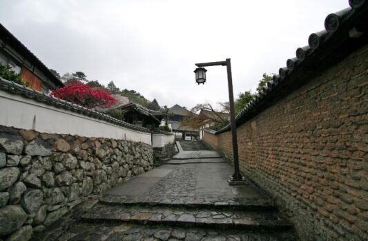 春の雨の午後の奈良の風景　春の奈良の風景
