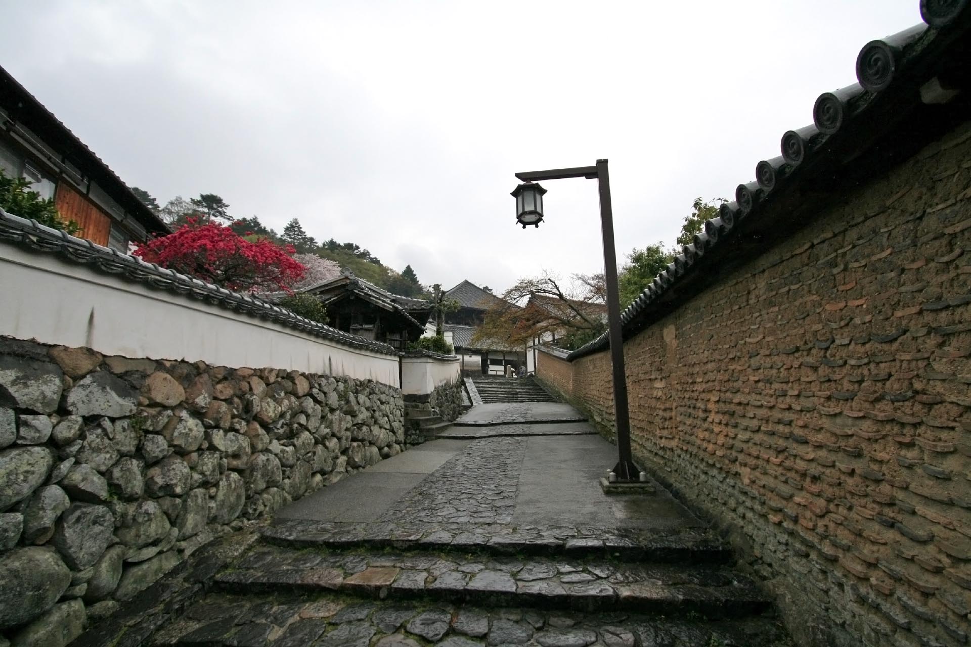 春の雨の日の風景　春の奈良の風景