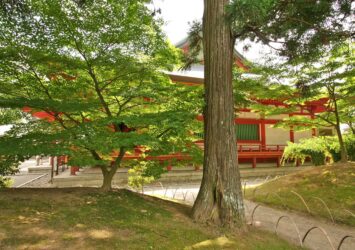 毛越寺　岩手の風景