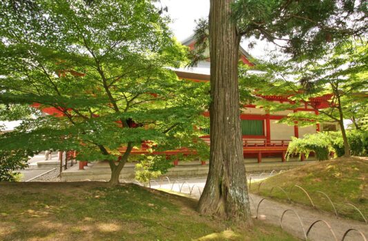 毛越寺　岩手の風景