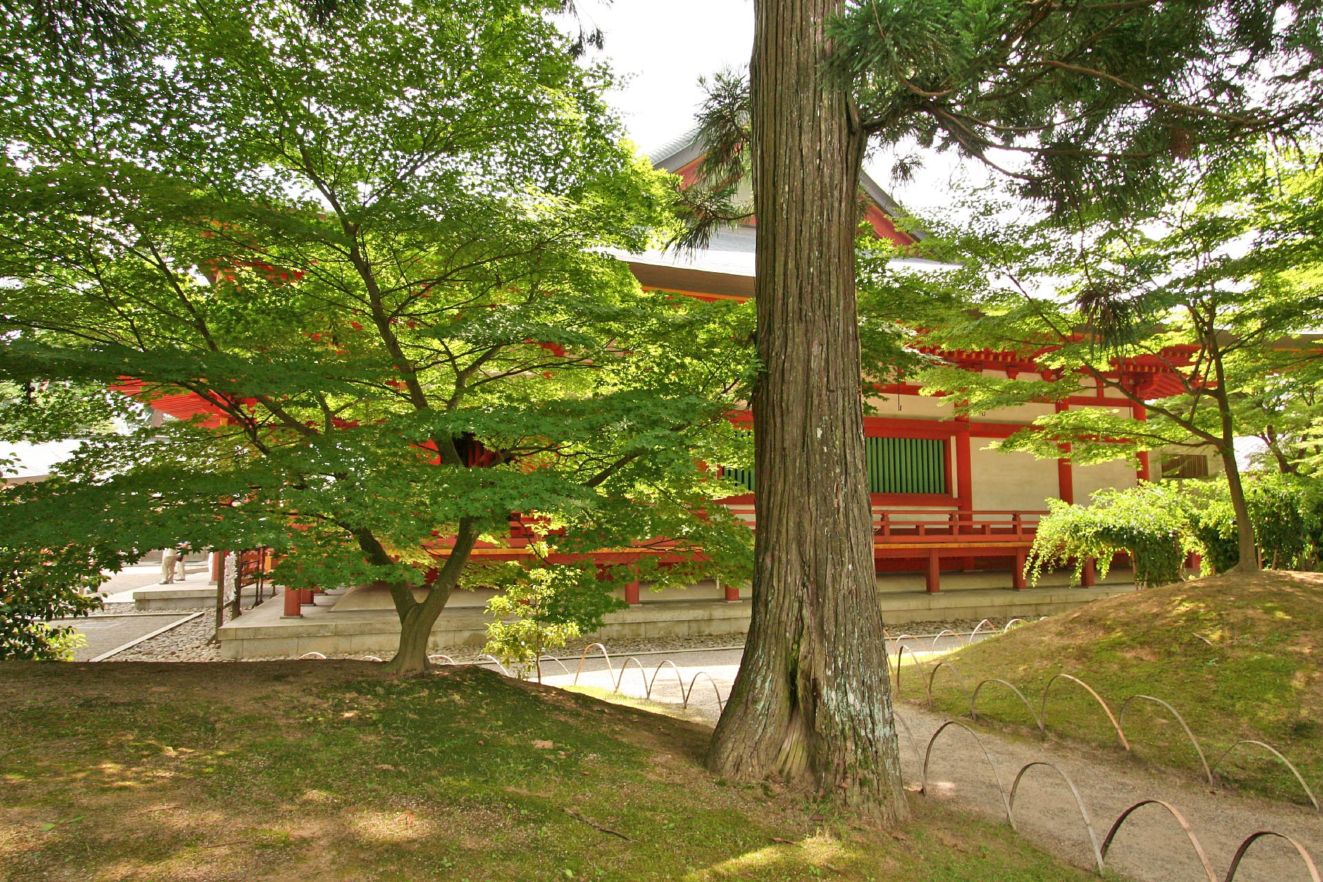 毛越寺　岩手の風景