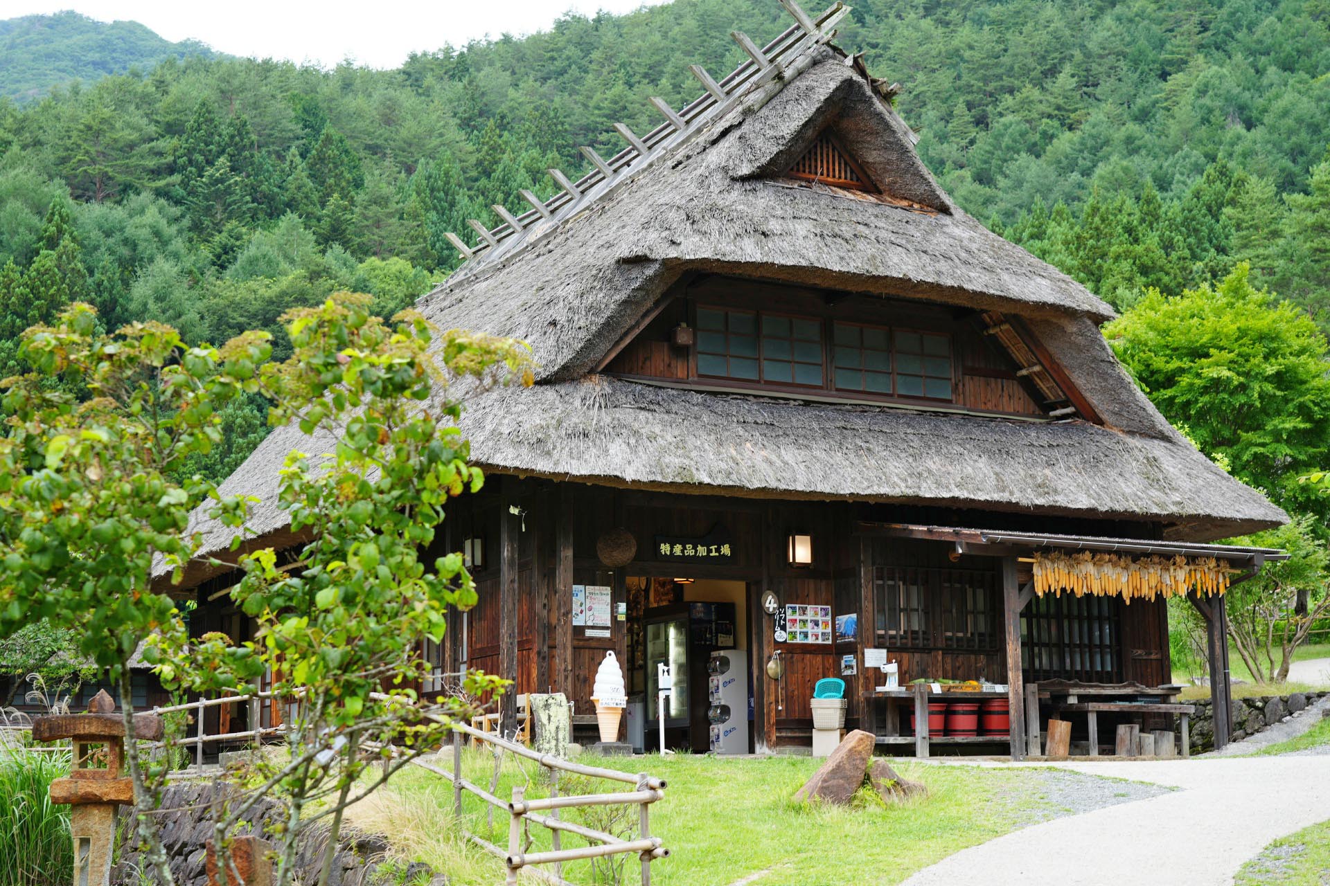 夏の西湖いやしの里根場　美しき日本の原風景　夏の山梨の風景
