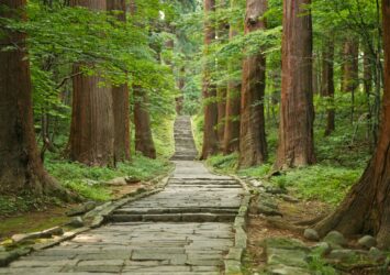 夏の羽黒山　山形の風景