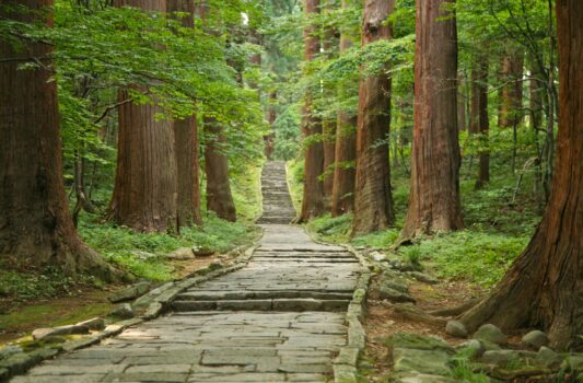 夏の羽黒山　山形の風景