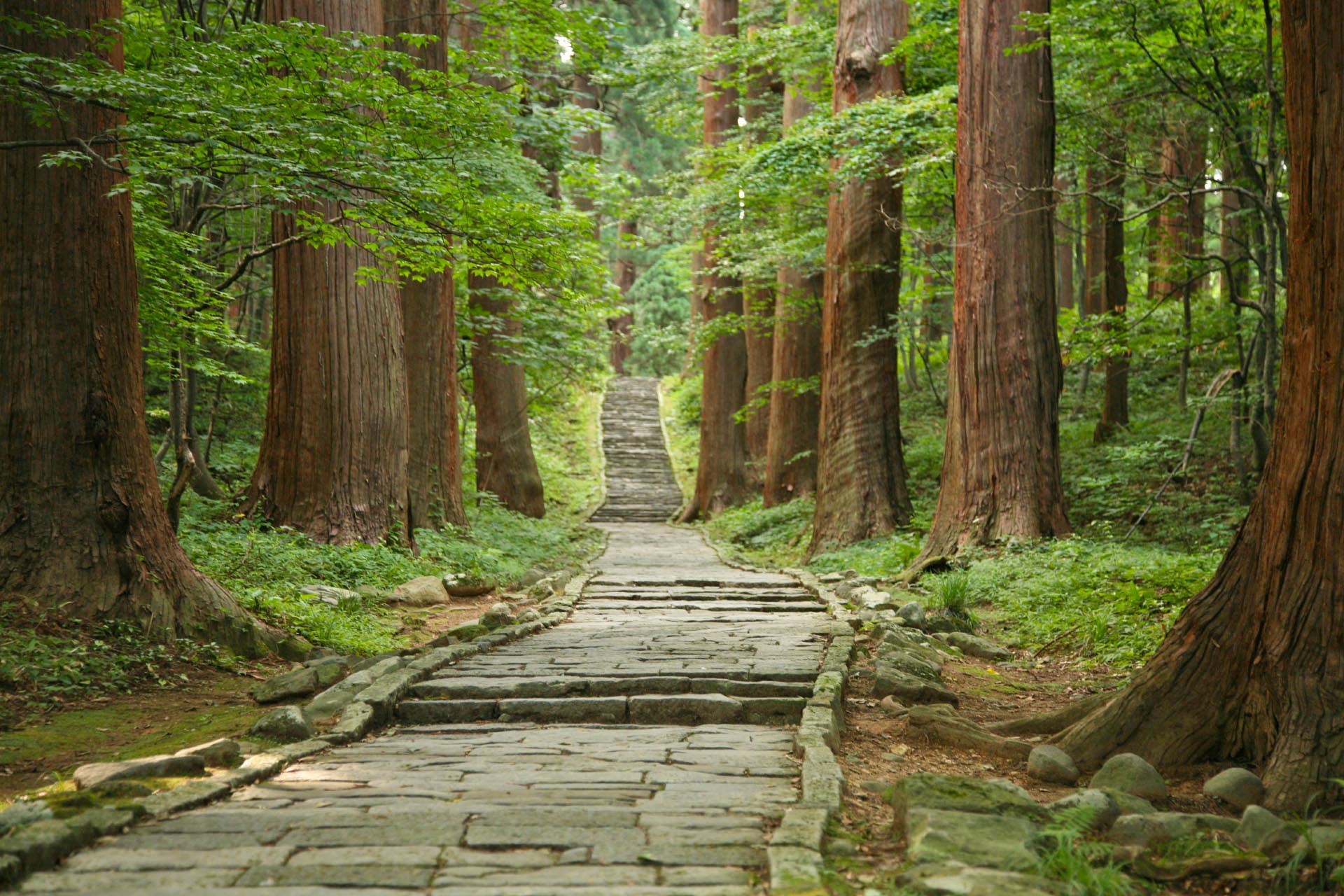 夏の羽黒山　山形の風景