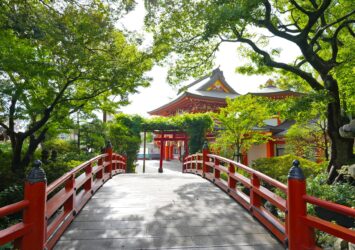 夏の千葉神社　夏の千葉の風景