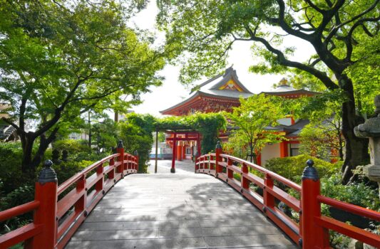 夏の千葉神社　夏の千葉の風景