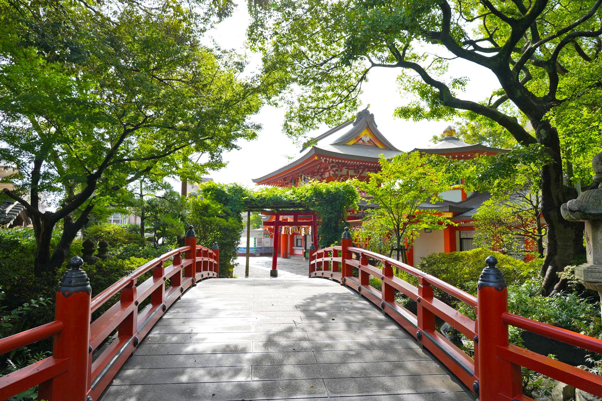 夏の千葉神社　夏の千葉の風景