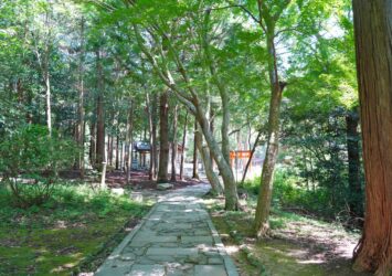 大麻比古神社　徳島の神社　徳島の風景