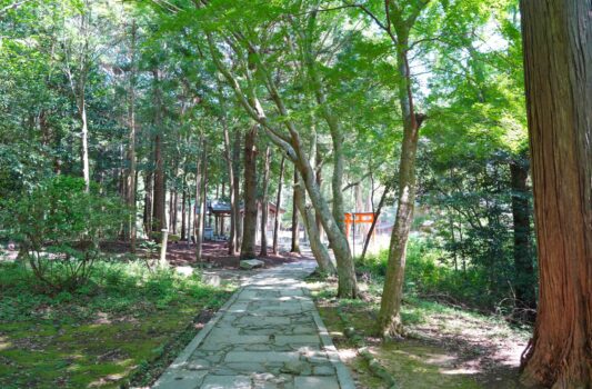 大麻比古神社 徳島の神社 徳島の風景