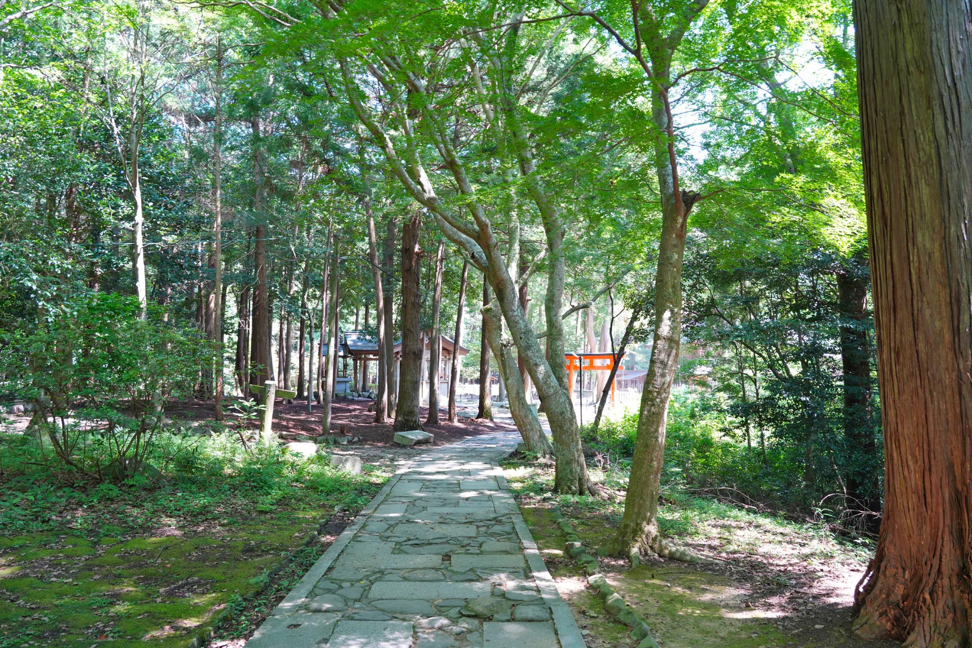大麻比古神社　徳島の神社　徳島の風景