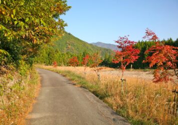 秋の熊野古道　秋の和歌山　和歌山の風景