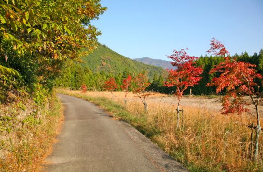 秋の熊野古道　秋の和歌山　和歌山の風景