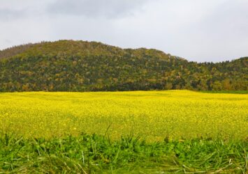 10月の北海道　北海道の風景